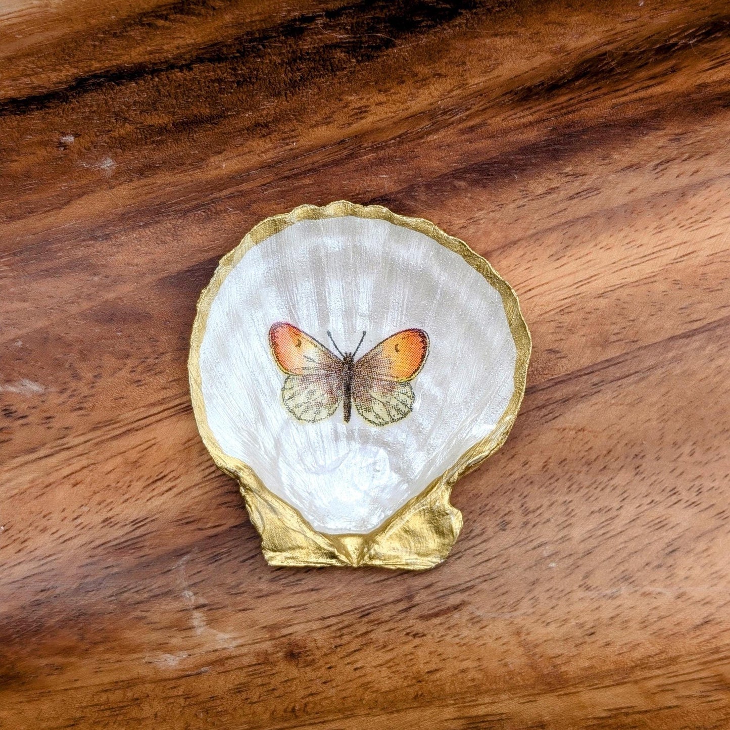 Sea Shell Trinket Dish | Butterflies - Teal & Orange