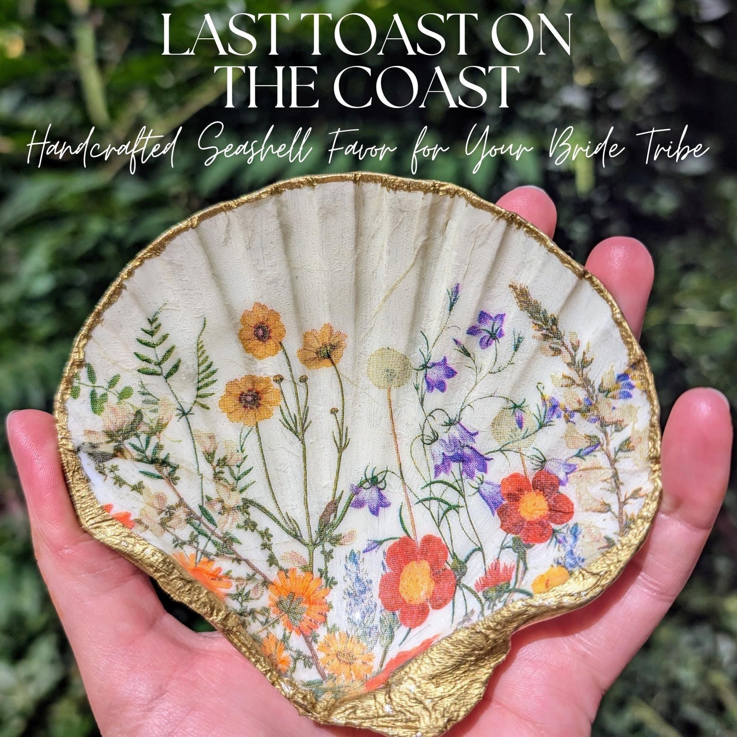 Scallop Shell Dish | Wildflower