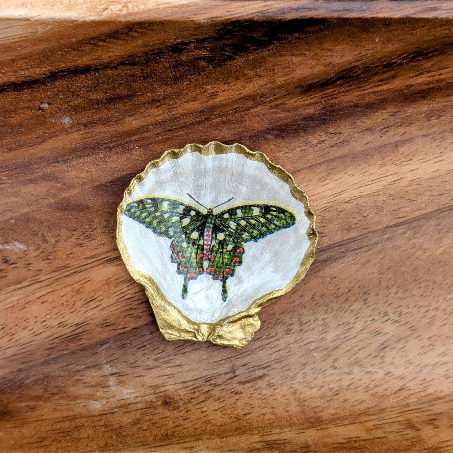 Butterfly Seashell Trinket Gift for Coworker Botanical Desk Decor Handmade Coastal Jewelry Tray Office Thank You Nature Inspired Keepsake