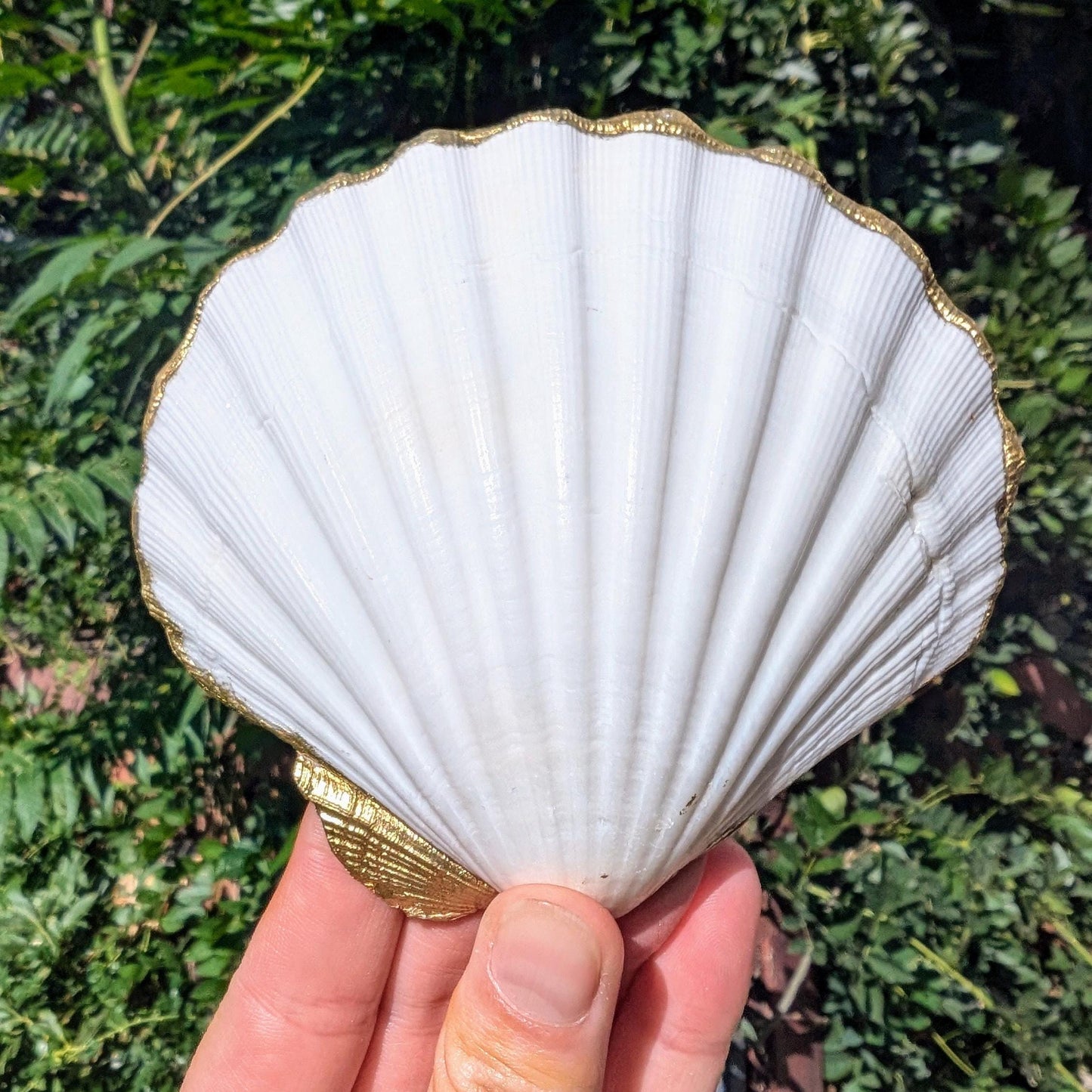 Seashell Trinket Dish Pressed Wildflowers Gold Trim Handcrafted Jewelry Tray Home Decor Housewarming Gift Bridal Gift Bridesmaid Present Coastal Decor Nature Inspired Accessories Artisanal Collectors