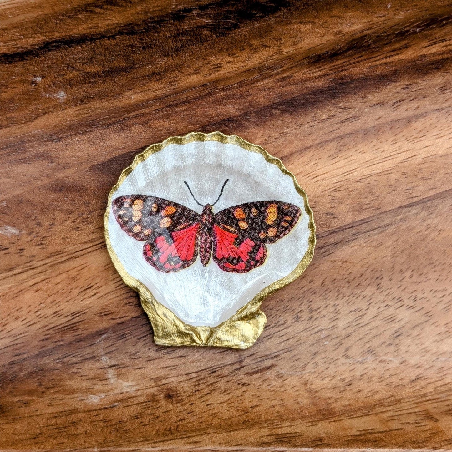 Graduation Gift Butterfly Seashell Tray Boho Decor for Her Nature Lover Keepsake Coastal Trinket Dish Handmade Botanical Jewelry Holder
