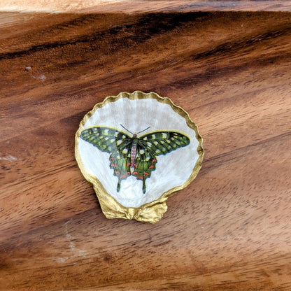 Sea Shell Trinket Dish | Butterflies - Blue & Grey