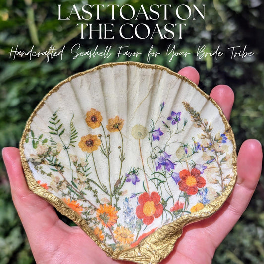 Scallop Shell Dish | Wildflower