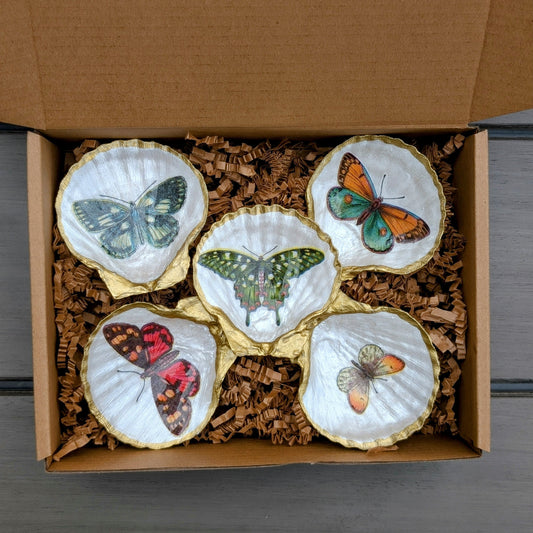 Handmade Butterfly Seashell Trinket Dish Set