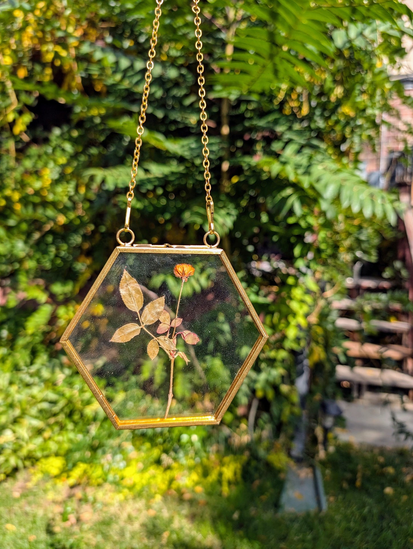 Gold Geometric Dried Flower Wall Hanging