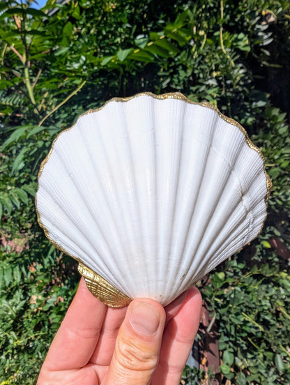 Floral Catchall Jewelry Dish Coastal Beach Accessory Art Nouveau Floral Decor Vintage-Inspired Home Gift Spring Wedding Sea Shell Present