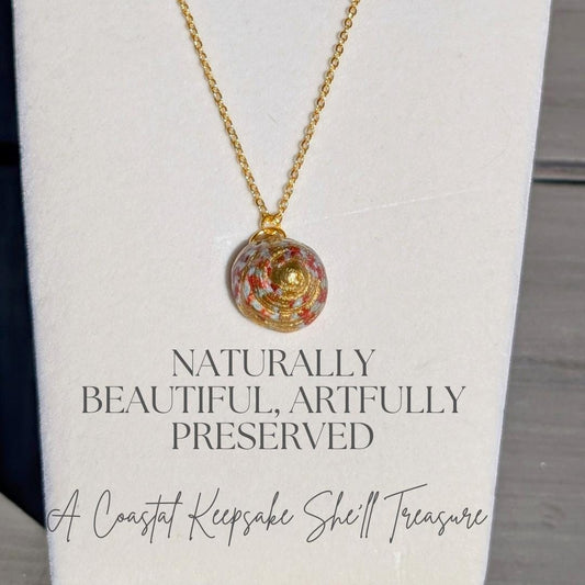 Handmade hermit shell necklace gold trim resin finish coastal beach wedding jewelry bride bridesmaid beach themed events real ocean shell pendant summer wedding tropical destination wedding ocean lover meaningful keepsake coastal jewelry nature gift seaside wedding accessory nautical bride gift